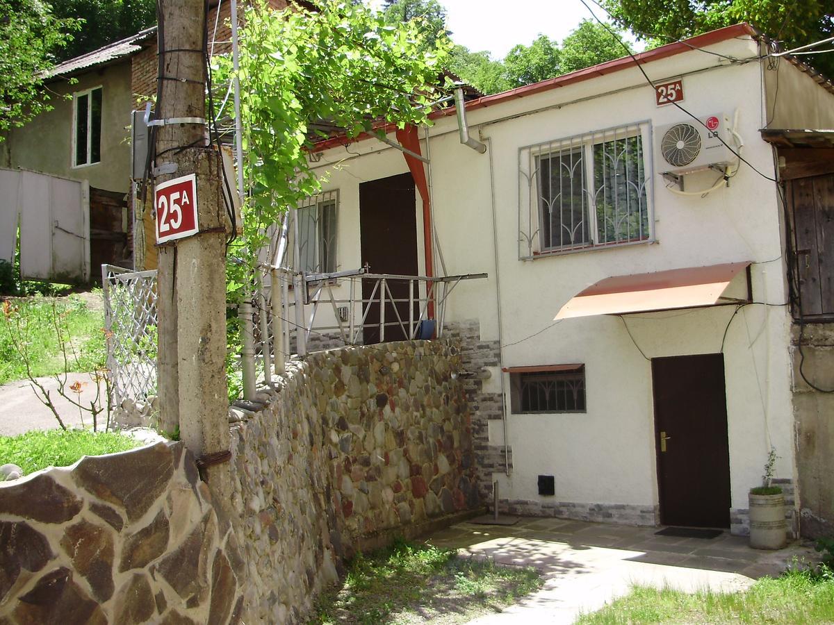 Apartment On Erekle 25A Bordżomi Zewnętrze zdjęcie